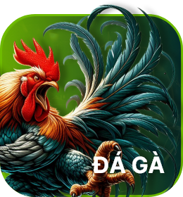 sảnh chơi đá gà